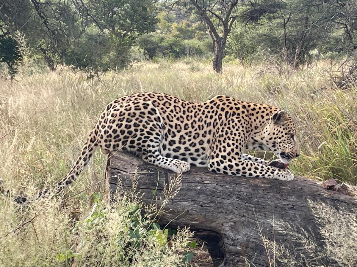 Aloegrove Safari Lodge オチワロンゴ エクステリア 写真