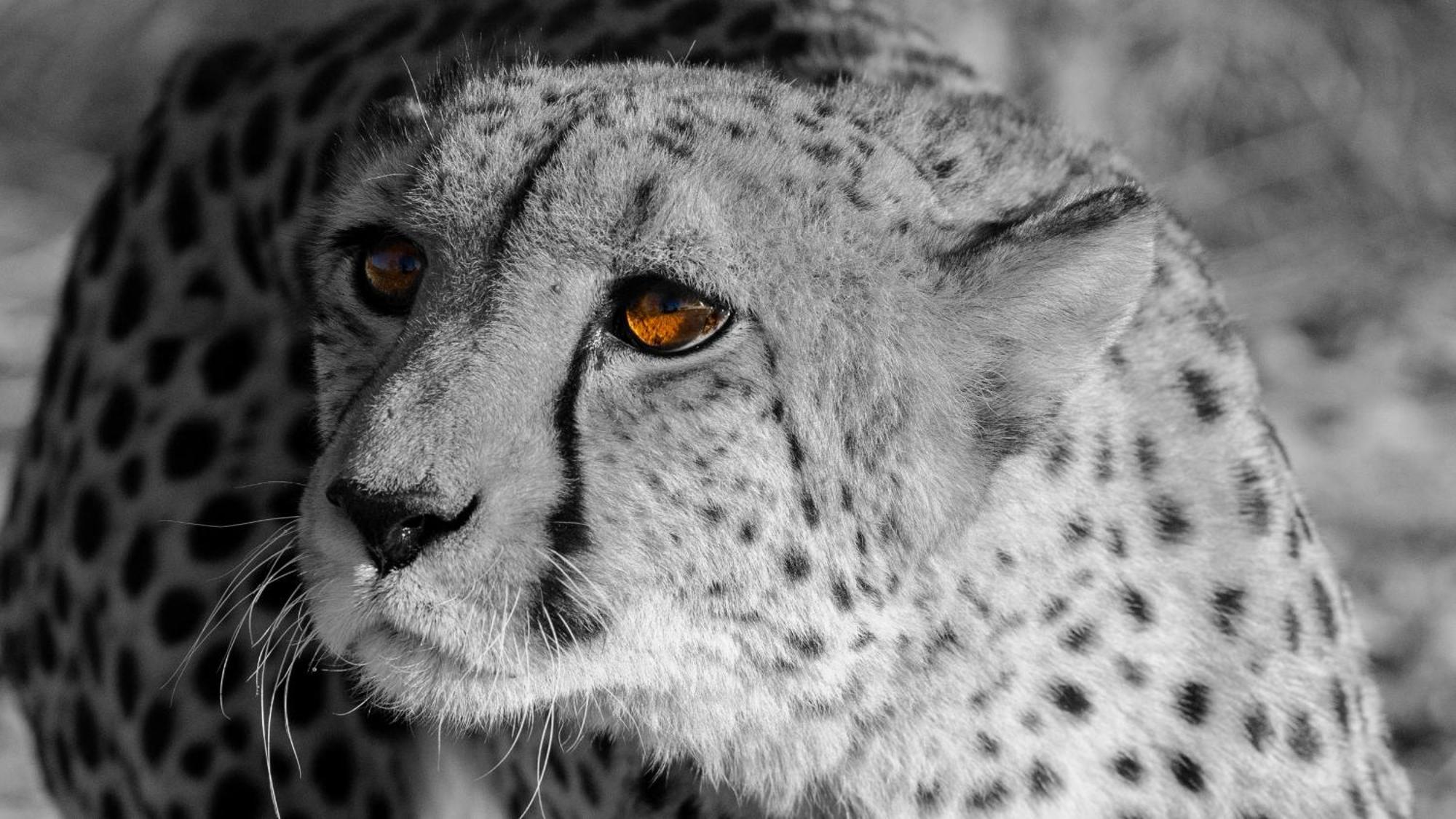 Aloegrove Safari Lodge オチワロンゴ エクステリア 写真