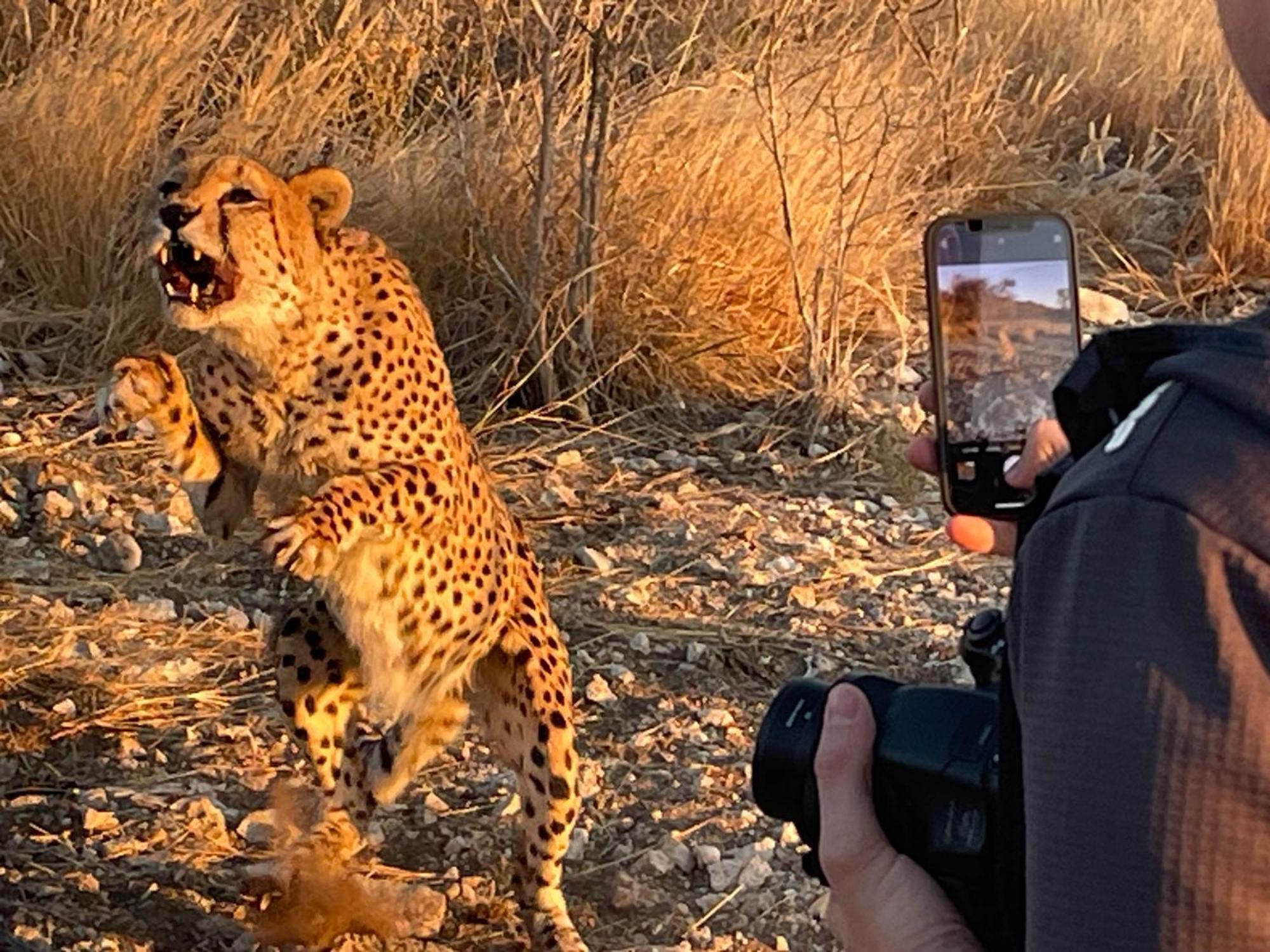 Aloegrove Safari Lodge オチワロンゴ エクステリア 写真