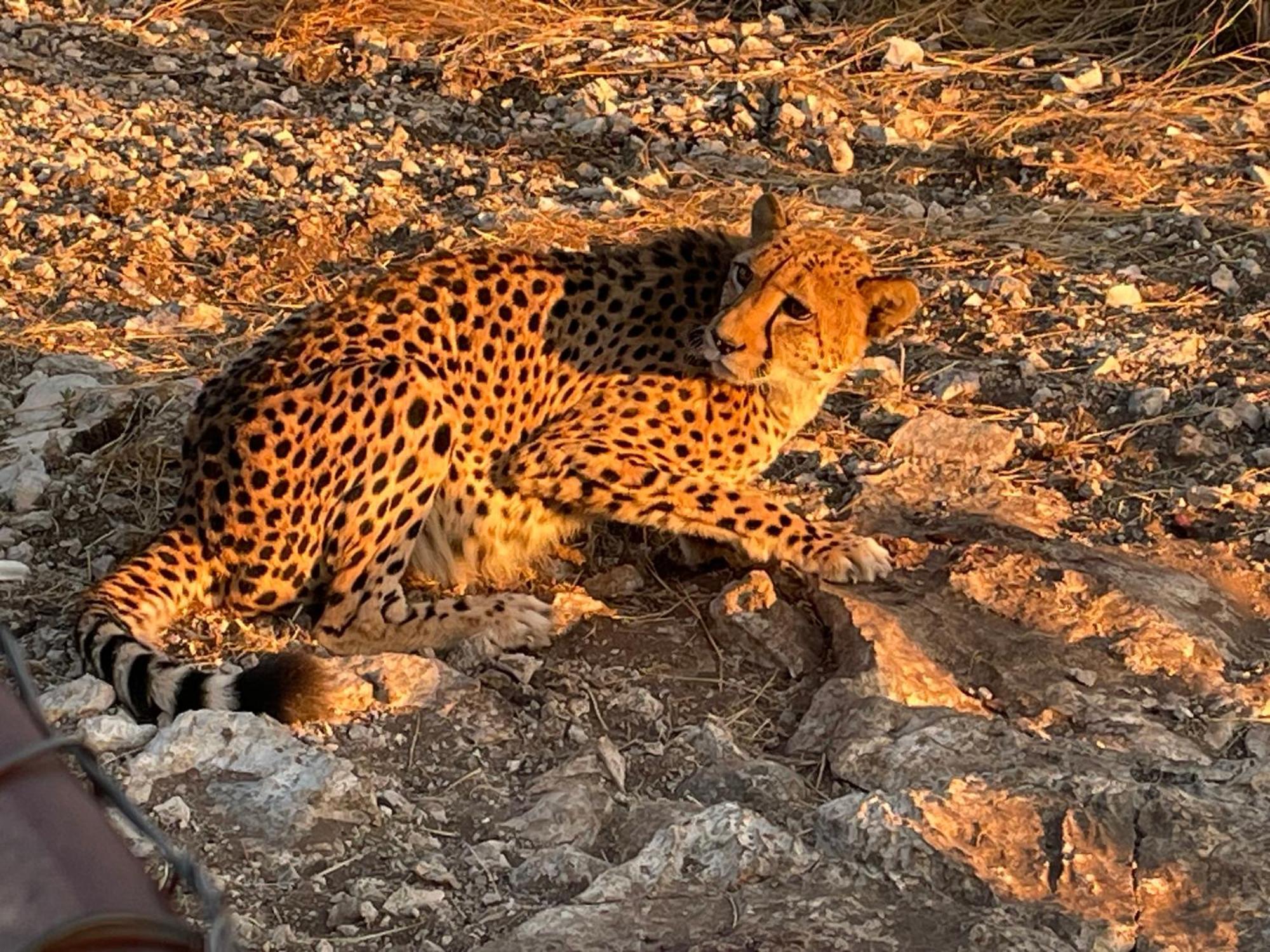 Aloegrove Safari Lodge オチワロンゴ エクステリア 写真
